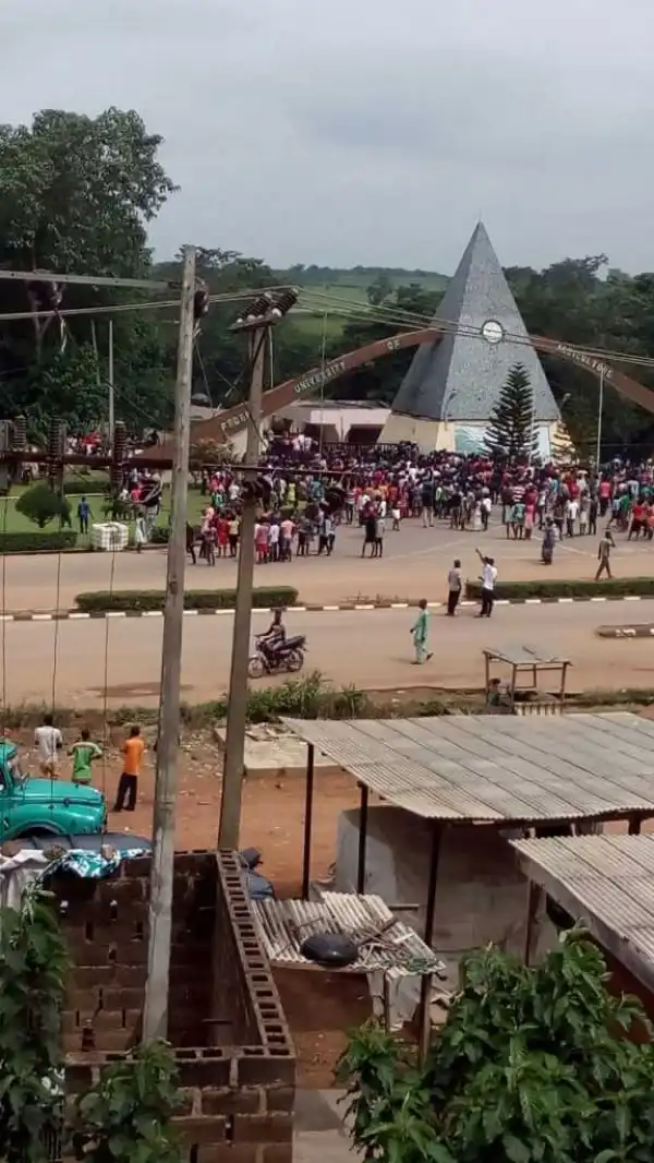 FUNAABITES Need National  Attention to Hear the Truth –  Student Cries Out
